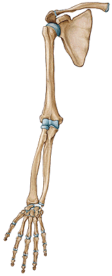 Occlusion Question Image