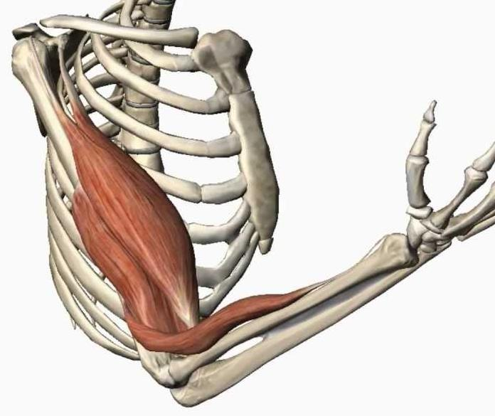 Occlusion Question Image