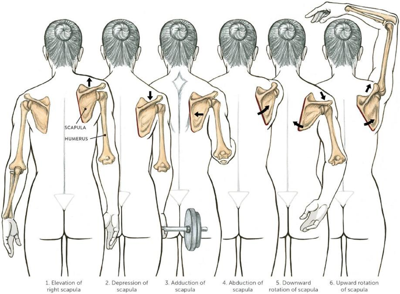 Occlusion Answer Image